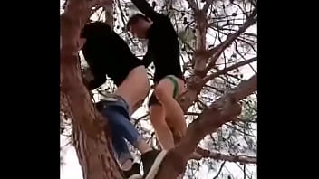 Sex on the tree